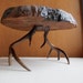 Vintage Antlers and Burl Wood Side Table, Footstool : Live Edge Wood Furniture