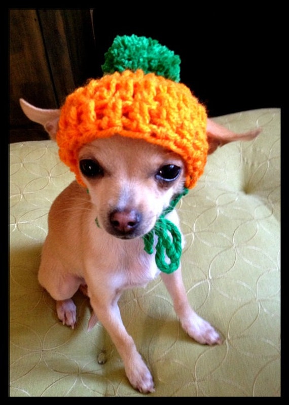 Crocheted Chihuahua Pumpkin Beanie XXS