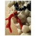 Vintage RED Coral Branch - From Ancient Oceans - Coral Necklace