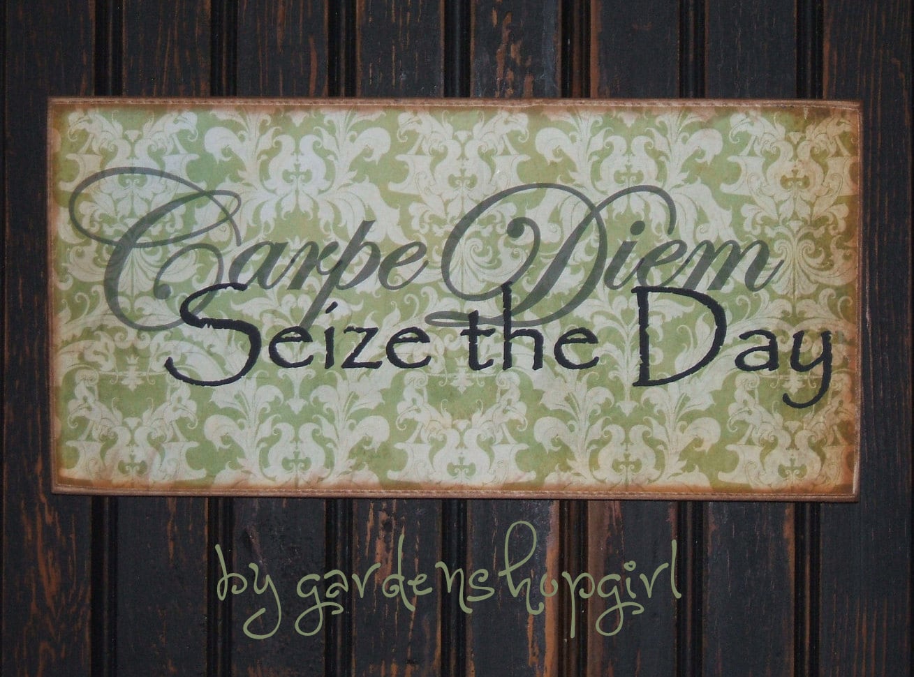 seize the day carpe diem
