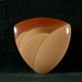 Bruneau Jasper Freeform Cabochon from Idaho 29x5mm