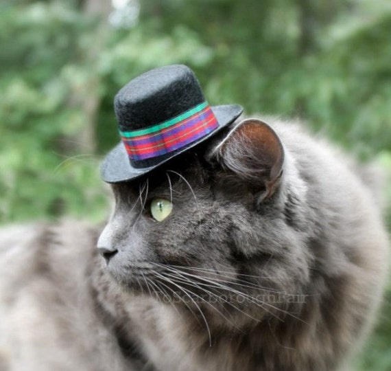 Items similar to Cat Top Hat - Stewart Tartan Hat - Cat Christmas ...