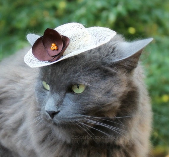 cat-hat-spring-hat-for-cat-french-roast-sinamay-pet-hat