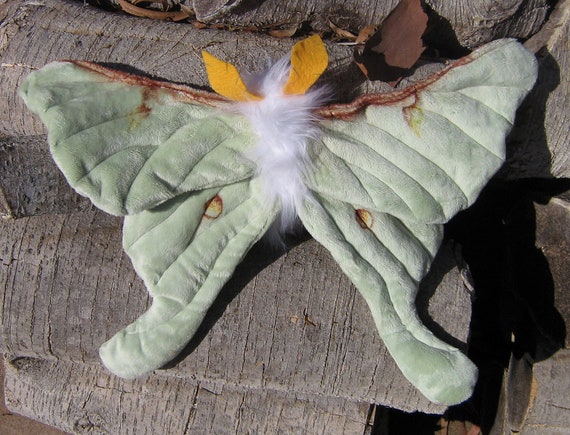 moth plush amazon