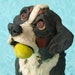 bernese mountain dog sculpture