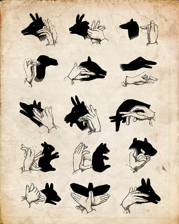 sakura-food-recipe-hand-shadow-puppets