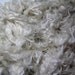 Suri Alpaca Locks, White, Washed, 7"locks, Handspinning or Doll Hair