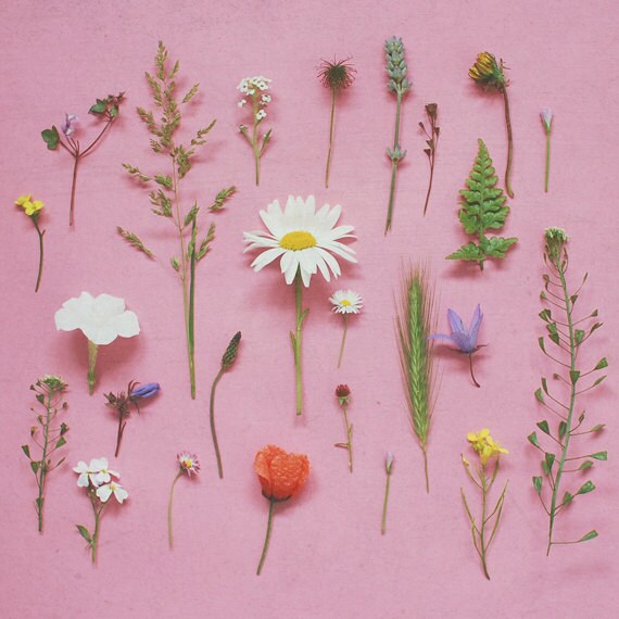 Wild Flowers - Flower photography, spring decor, botanical art, feminine art, pink, green, white 8x8 Print
