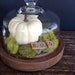 Vintage Glass Cloche with Wood Base