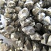 Pyrite Beads 6mm Fools Gold Freeform Nuggets - 8 inch Strand