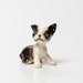 adorable seated boston terrier puppy collectible figurine