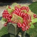 Deco Mesh Mailbox Swag, Christmas Mailbox Decoration, Mailbox Swag, Deco Mesh Wreath