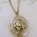 Cyber Monday Sale Free Shipping - Locket Necklace Baby Chic - Run Chic Run - Vintage Brass Chicken LOCKET - Under 35