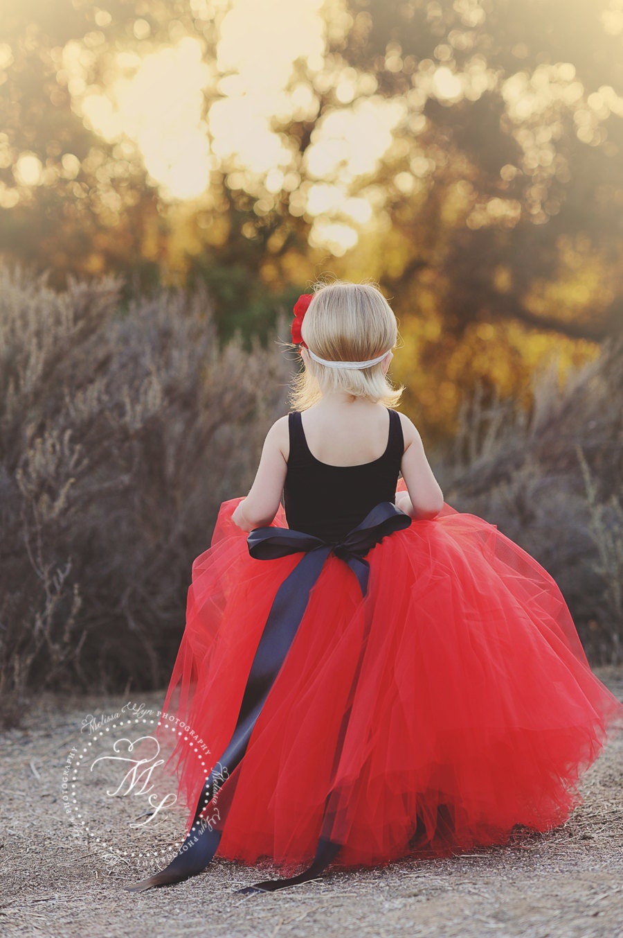 Tutu dress Red tutu Black and red tutu Flower girl dress