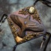 RESERVED - Moon Forest Messenger - CUSTOM ORDER (Price reduced)
