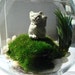 Sweet Mini Lucky Cat Maneki Neko Moss Air Plant Terrarium