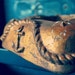 Nautical Chippy Bliss Gilt Plaster Decor Vintage Anchor