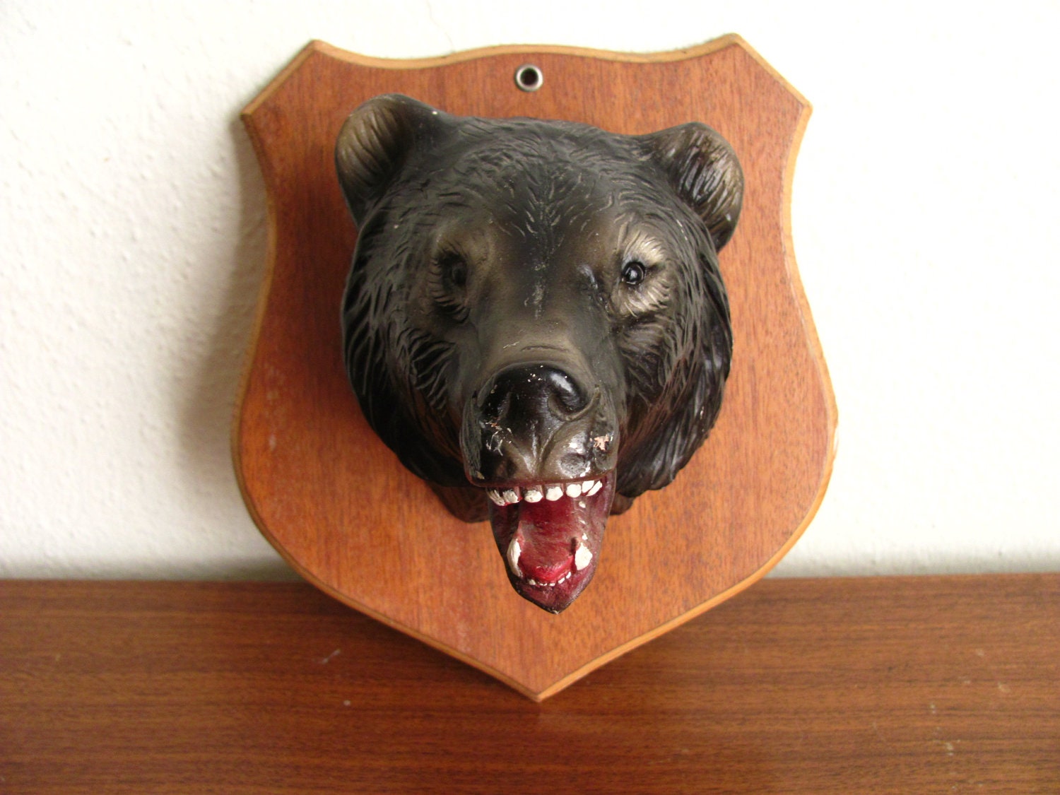 teddy bear head wall mount