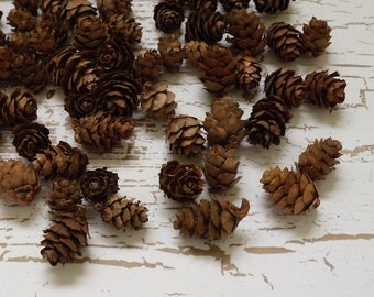 SEASONAL ITEM - Natural Pine Cones, Mini Pine Cones, 100 TINY Pine Cones, Wooden Pine Cones