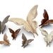 Wall Butterflies - Ranch House