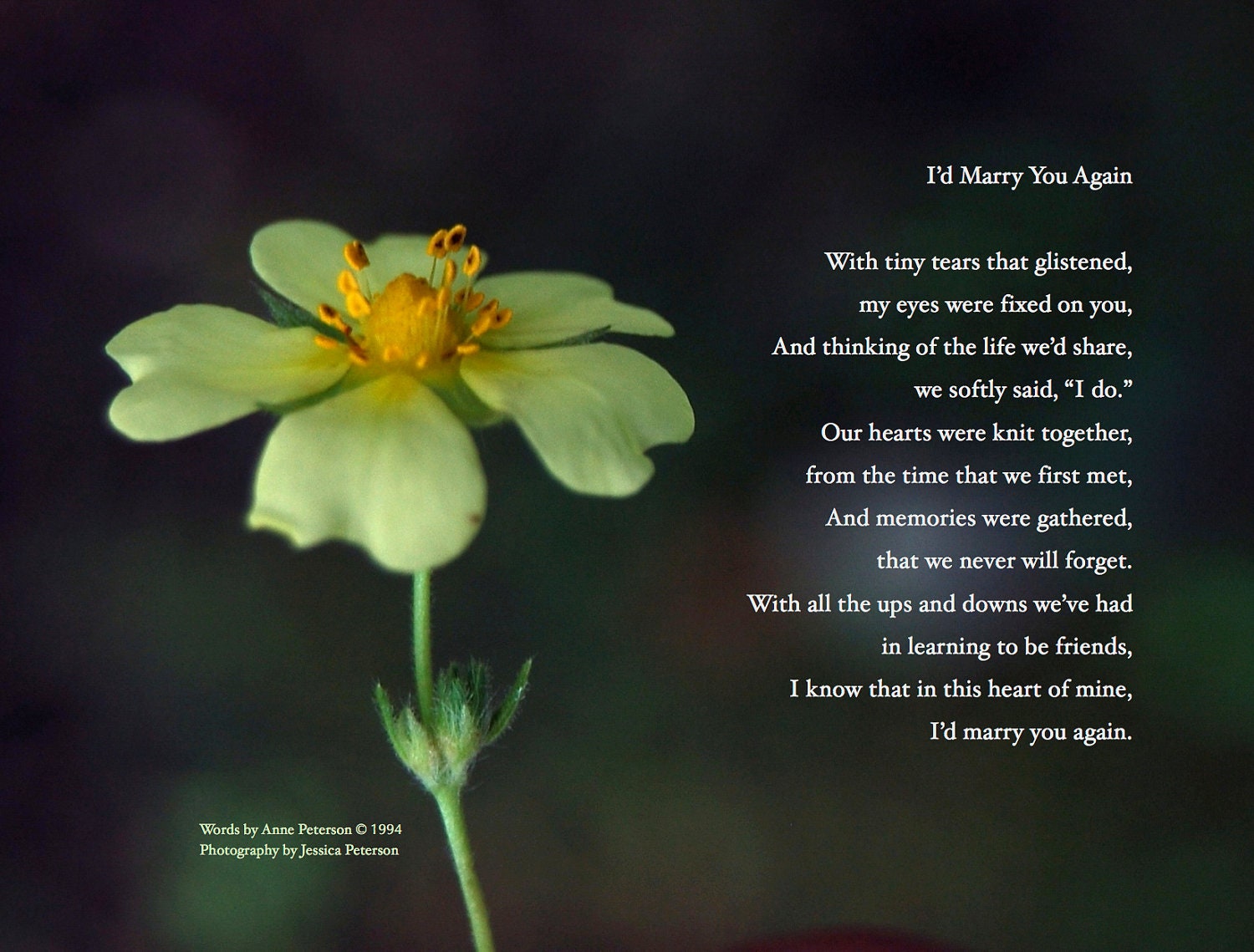 8x10 I'd Marry You Again poem for spouse by annepetersonpoetry