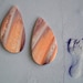 Pear shaped Spiny Oyster Shell Pair