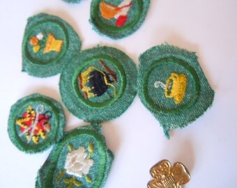 Girl Scout Badges Colorado Springs Chapter Collectible