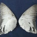 Pair Grey Rock Dove Fanned Out Dried Pigeon Birds Wings Feathers Art Craft Taxidermy