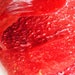 Strawberry / Raspberry / Rhubarb blend - Rolled Fruit Leather