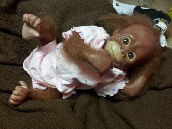 reborn orangutan
