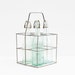 Wire Bottle Carrier Vintage French Crate
