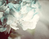 Soft Teal Decor, Flower Pictures, Teal Hydrangea Photograph, Flower Photography, Mint, Teal, Cream, Botanical Art, Flower Fine Art Print.