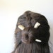 Horn Deer Antler Hair Sticks Small Carved White Bone Tribal Chic Long Hair Toys