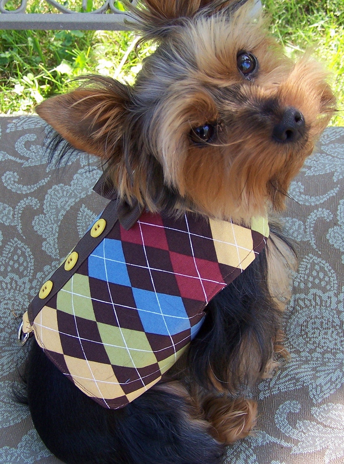 Dog Harness Vest Preppy Argyle with bow tie Size by Frillypaws