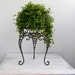 Vintage Iron Plant Stand, Table night stand, country rustic black stand on three legs, Victorian curves design, mid century home decor