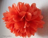Tropical.. 1 Tissue Pom Pom Il_170x135