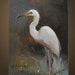 wildlife ,birds, egrets Original Oil Panel Painting 5x7