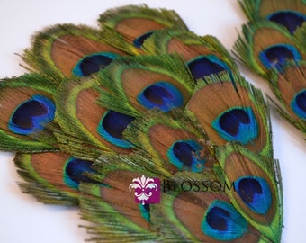 1 Peacock Feather Pad - Peacock Eyes Eye - Green Turquoise Blue Feathers - Wedding Supplies DIY Headband Hair Clip Hat - Newborn Photo Prop