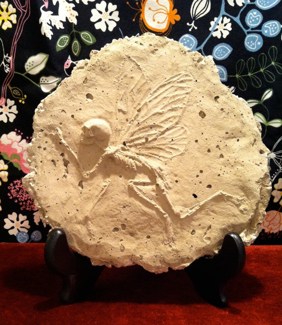 Fairy Fossil