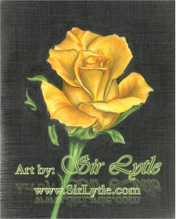 Items similar to Yellow Rose (Colored Pencil Drawing ...