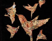 Gilded Hummingbirds Feeding