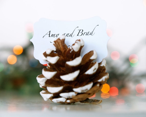 Christmas Wedding Escort Cards, Pine Cone, Woodland Wedding, 10 Name Place Table Setting Plan Rustic Country Theme Winter Snow White