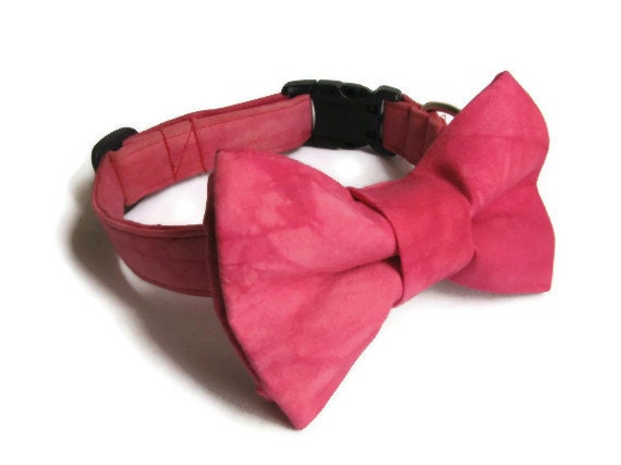 Pink hand dyed dog collar and bowtie! - on Etsy