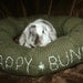 Ugli Donut bunny rabbit bed for a large sized bunny Army green cable knit with Happy Bunny embroidery