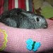 Ugli Donut bunny rabbit bed for a medium to large sized bunny pink hand knit with butterfly and strawberry appliques