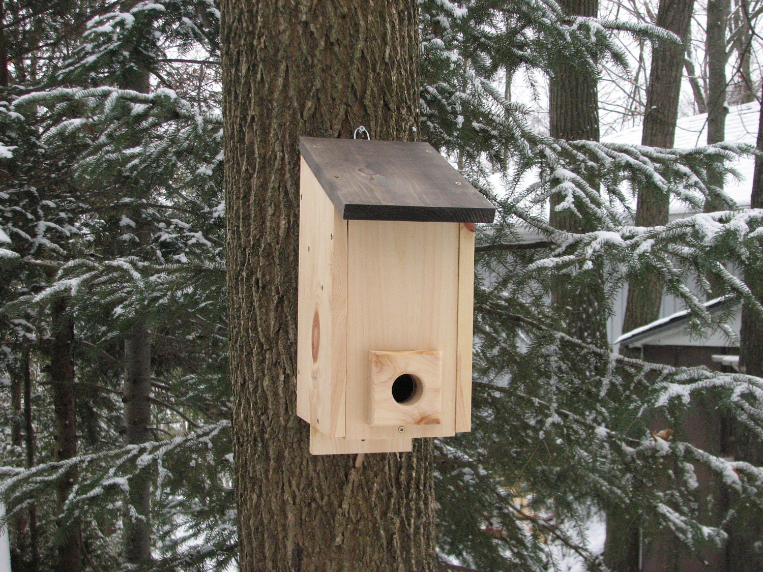 Winter Roost Box for Songbirds by AnimalHouseCreations on Etsy