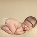 Newborn Photography Fabric Backdrop - Heavenly Knit backdrop in Soft Butter - 2 Yards