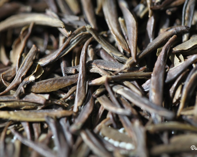 White Tea - Jun Shan Silver Needle Loose Leaf Tea Premium Level NET 30 grams/ 1.1 oz