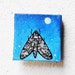 SALE: Moth and Moon Insect Art. Original Oil Painting. Dusk. Twilight