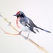 Bird in early spring (original watercolor)